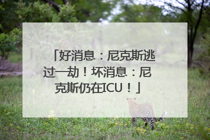 好消息：尼克斯逃过一劫！坏消息：尼克斯仍在ICU！