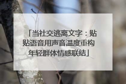 当社交逃离文字：贴贴语音用声音温度重构年轻群体情感联结