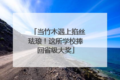 当竹木遇上掐丝珐琅！这所学校捧回省级大奖