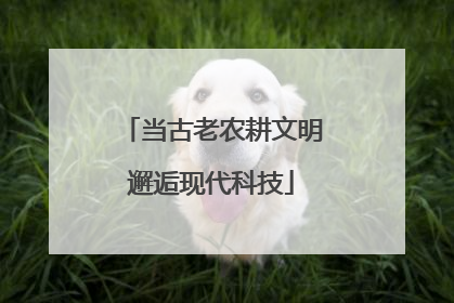 当古老农耕文明邂逅现代科技