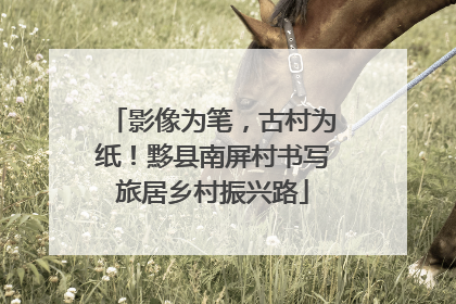 影像为笔，古村为纸！黟县南屏村书写旅居乡村振兴路