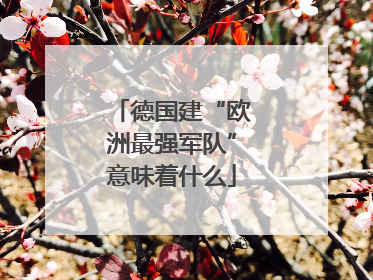 德国建“欧洲最强军队”意味着什么