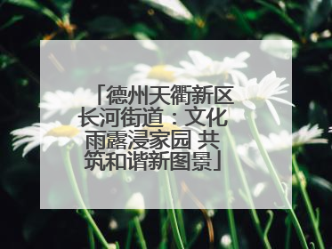 德州天衢新区长河街道：文化雨露浸家园 共筑和谐新图景
