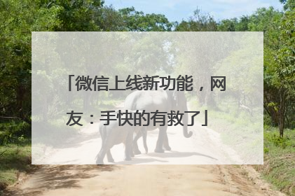 微信上线新功能，网友：手快的有救了