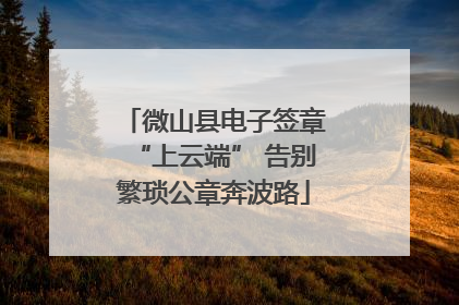 微山县电子签章“上云端” 告别繁琐公章奔波路