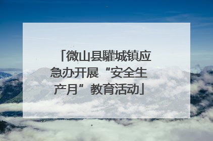 微山县驩城镇应急办开展“安全生产月”教育活动