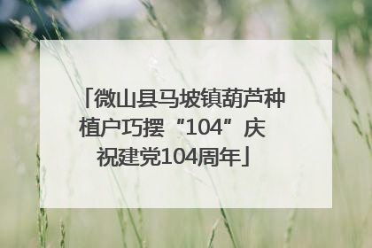 微山县马坡镇葫芦种植户巧摆“104”庆祝建党104周年