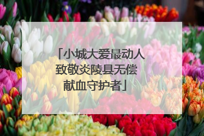 小城大爱最动人 致敬炎陵县无偿献血守护者