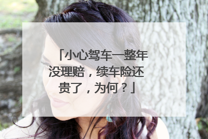 小心驾车一整年没理赔，续车险还贵了，为何？