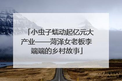 小虫子蠕动起亿元大产业——菏泽女老板李端端的乡村故事