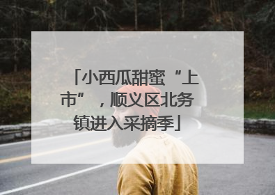 小西瓜甜蜜“上市”，顺义区北务镇进入采摘季