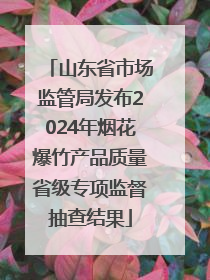 山东省市场监管局发布2024年烟花爆竹产品质量省级专项监督抽查结果