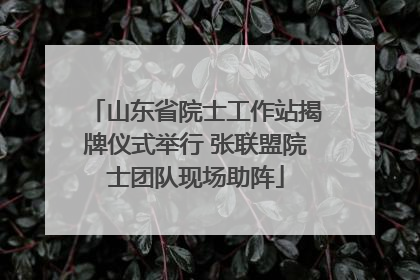 山东省院士工作站揭牌仪式举行 张联盟院士团队现场助阵