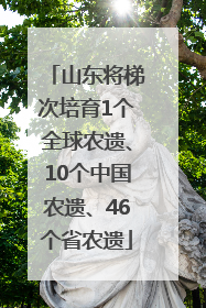 山东将梯次培育1个全球农遗、10个中国农遗、46个省农遗