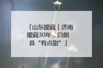 山东援藏｜济南援藏30年，白朗县“有点甜”