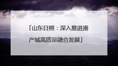 山东日照：深入推进港产城高质量融合发展