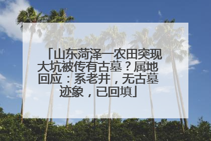 山东菏泽一农田突现大坑被传有古墓？属地回应：系老井，无古墓迹象，已回填