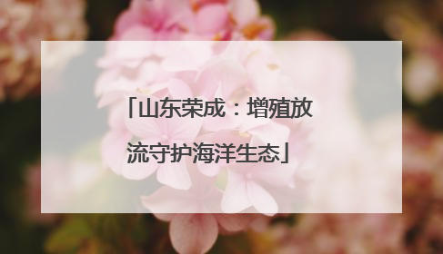 山东荣成：增殖放流守护海洋生态