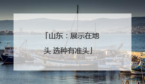 山东：展示在地头 选种有准头