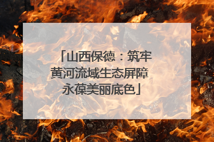 山西保德：筑牢黄河流域生态屏障 永葆美丽底色