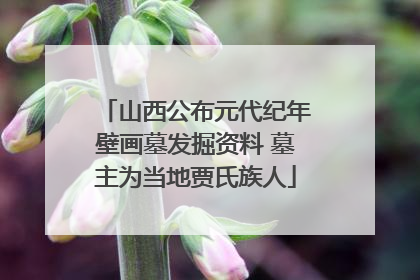 山西公布元代纪年壁画墓发掘资料 墓主为当地贾氏族人