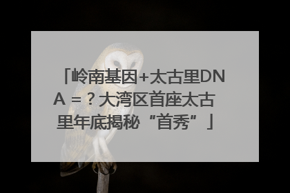 岭南基因+太古里DNA =？大湾区首座太古里年底揭秘“首秀”