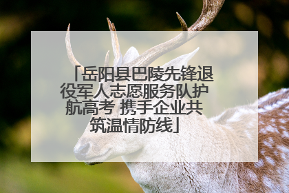 岳阳县巴陵先锋退役军人志愿服务队护航高考 携手企业共筑温情防线