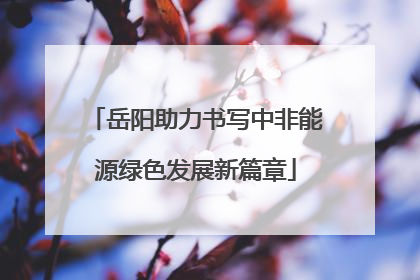 岳阳助力书写中非能源绿色发展新篇章