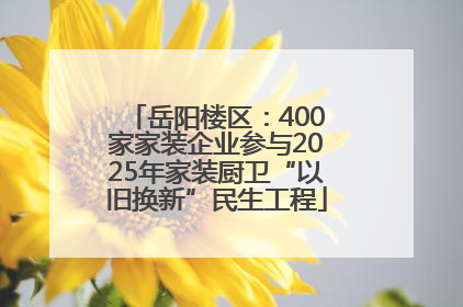 岳阳楼区：400家家装企业参与2025年家装厨卫“以旧换新”民生工程