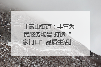 嵩山街道：丰富为民服务场景 打造“家门口”品质生活
