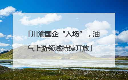 川渝国企“入场”，油气上游领域持续开放