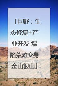 巨野：生态修复+产业开发 塌陷荒滩变身金山银山