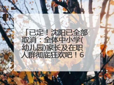 已定！沈阳已全部取消：全体中小学(幼儿园)家长及在职人群彻底狂欢吧！6月17日开始实行！18岁及以上可参加25年学历提升报名！
