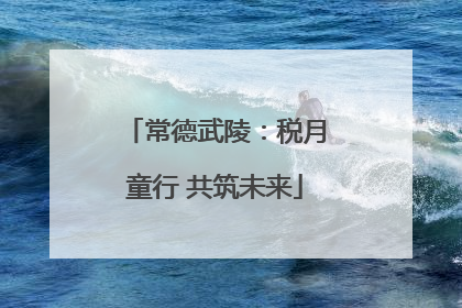 常德武陵：税月童行 共筑未来