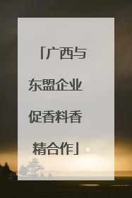 广西与东盟企业促香料香精合作