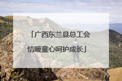 广西东兰县总工会情暖童心呵护成长