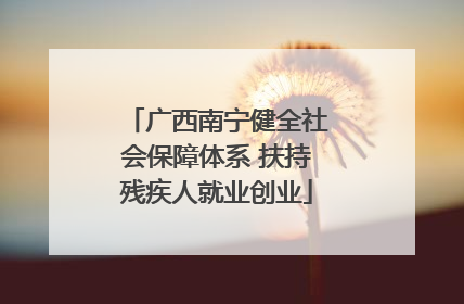 广西南宁健全社会保障体系 扶持残疾人就业创业