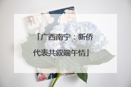 广西南宁：新侨代表共叙端午情