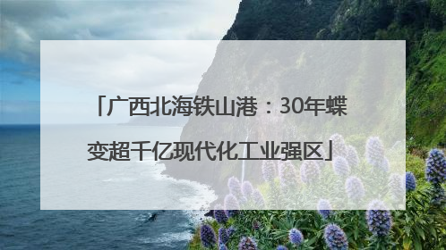 广西北海铁山港：30年蝶变超千亿现代化工业强区