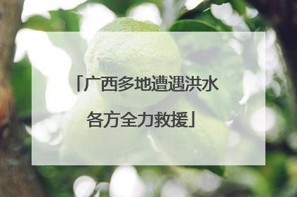 广西多地遭遇洪水 各方全力救援