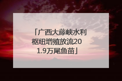 广西大藤峡水利枢纽增殖放流201.9万尾鱼苗