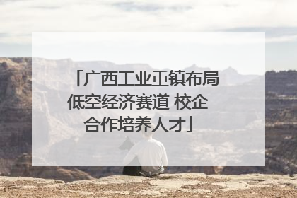 广西工业重镇布局低空经济赛道 校企合作培养人才
