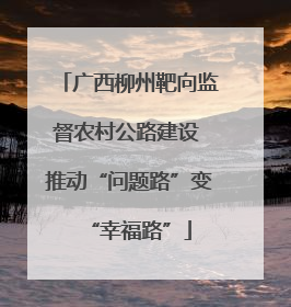 广西柳州靶向监督农村公路建设 推动“问题路”变“幸福路”