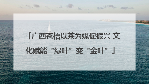 广西苍梧以茶为媒促振兴 文化赋能“绿叶”变“金叶”