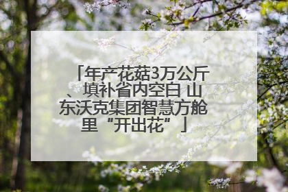 年产花菇3万公斤、填补省内空白 山东沃克集团智慧方舱里“开出花”