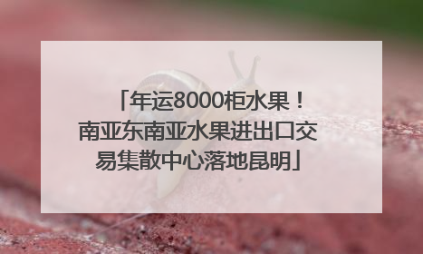年运8000柜水果！南亚东南亚水果进出口交易集散中心落地昆明