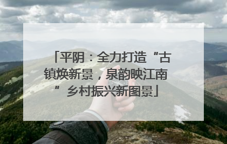 平阴：全力打造“古镇焕新景，泉韵映江南”乡村振兴新图景