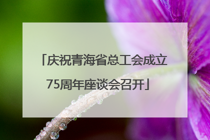 庆祝青海省总工会成立75周年座谈会召开