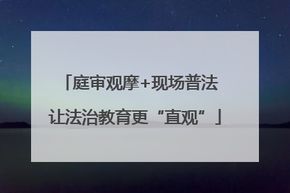 庭审观摩+现场普法 让法治教育更“直观”