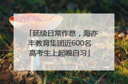 延续日常作息，海亦丰教育集团近600名高考生上起晚自习